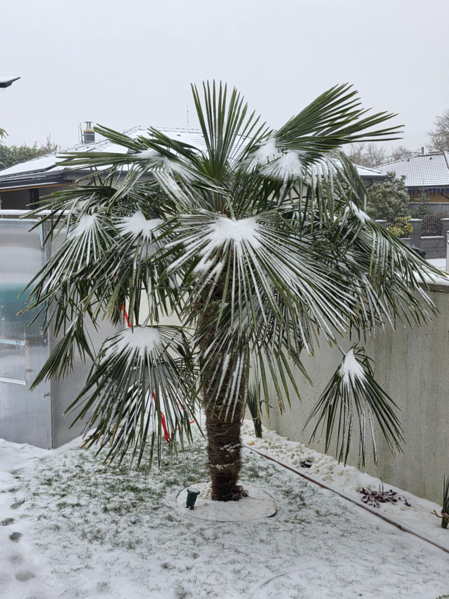 678c2904-81bf-4860-9d9b-42afe4efdf91 (1)